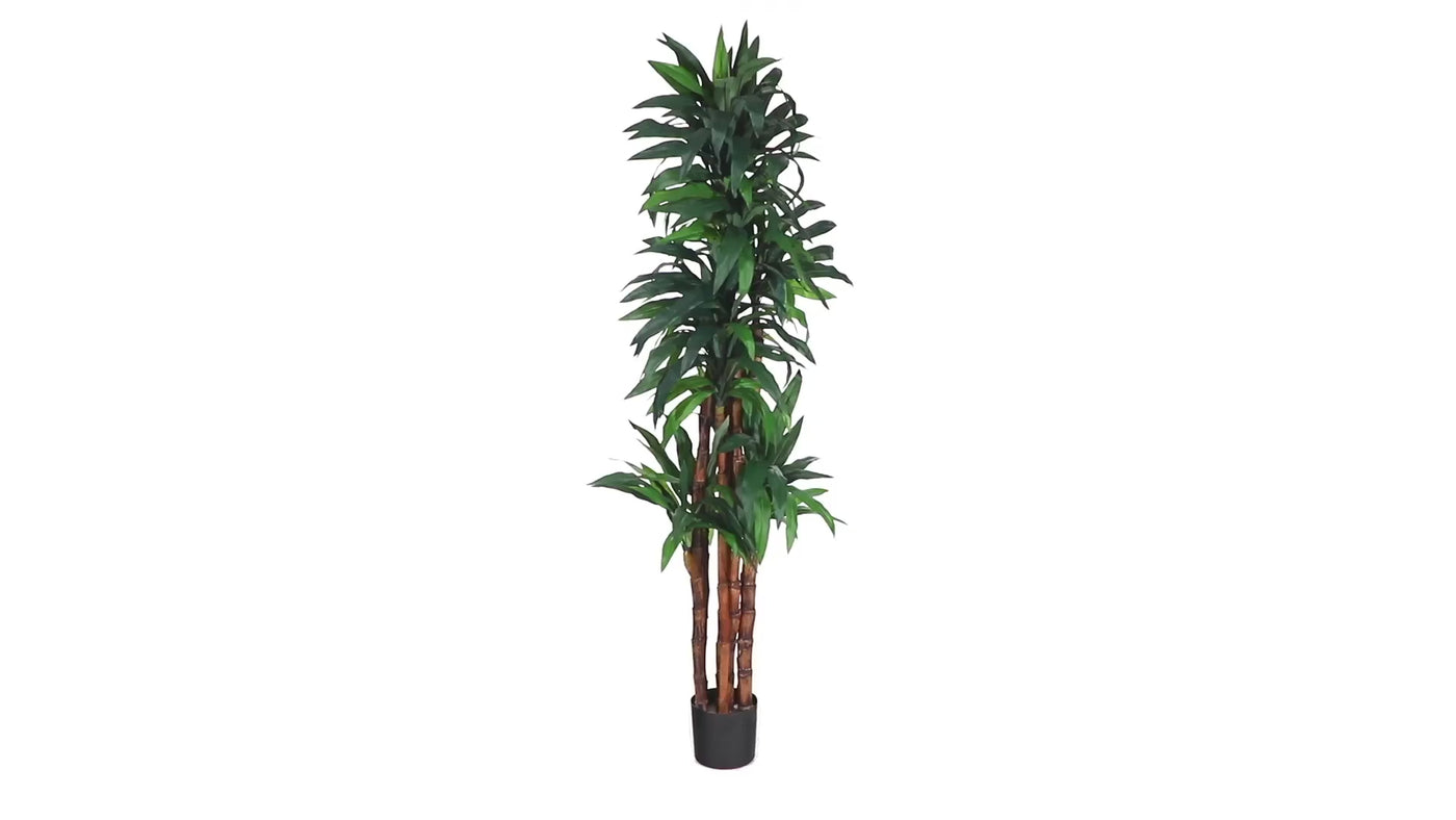 75" Bamboo Silk Tree"