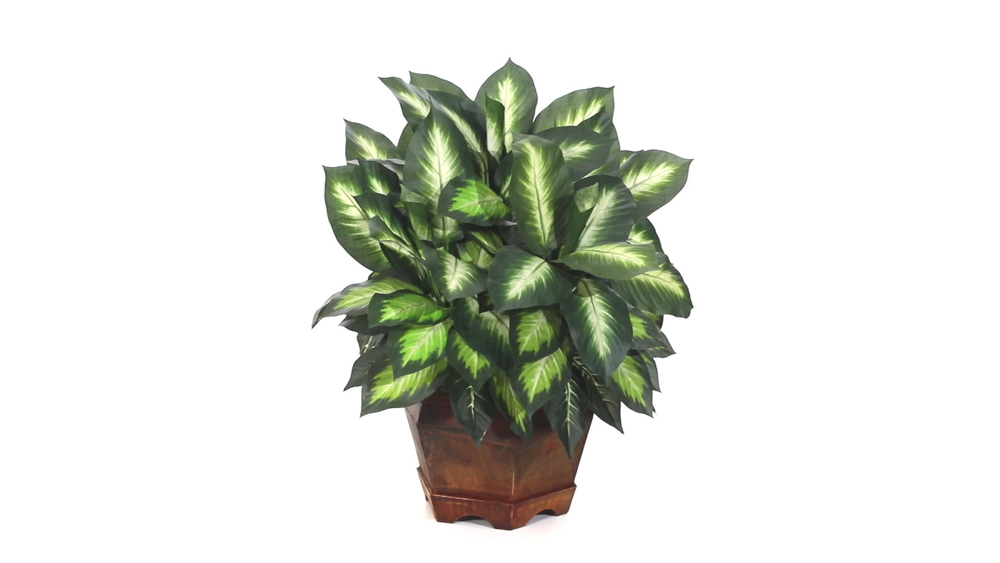 Golden Dieffenbachia Silk Plant