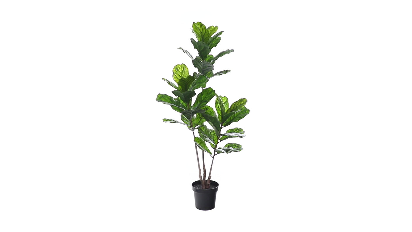 65” Fiddle Leaf Tree UV Resistant (Indoor/Outdoor)