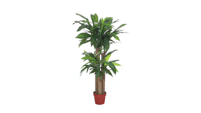 4' Corn Stalk Dracaena Silk Plant (Real Touch)