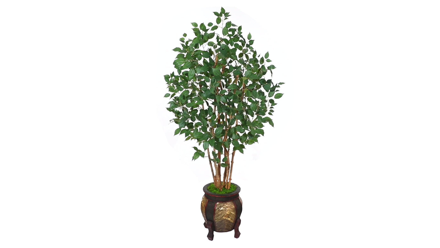 5.5' Ficus Bushy Artificial Tree in Decorative Planter